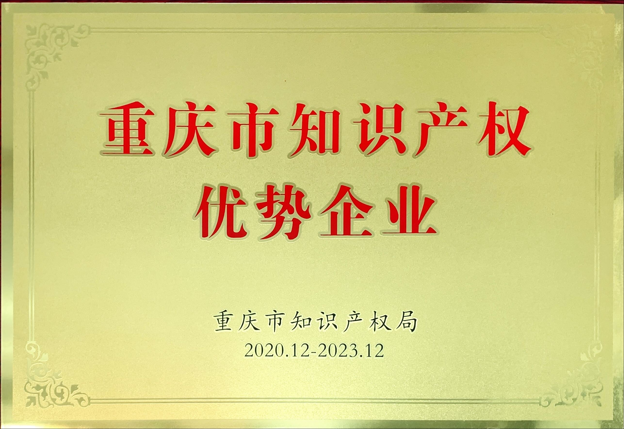 重庆市知识产权优势企业